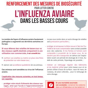 Renforcement des mesures de biosécurité Influenza aviaire