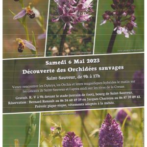 Sortie Orchidées