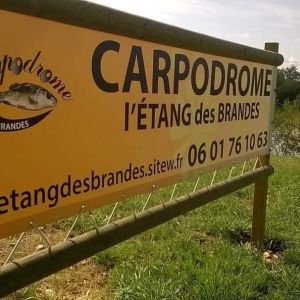 Carpodrome