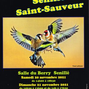 Artistes Senillé St-Sauveur