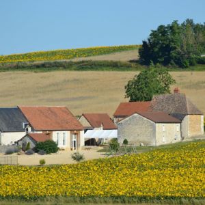 La Ferme Alia