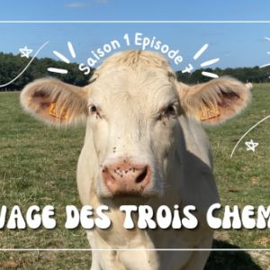 Reportage : " Au fil des délicieuses saveurs "